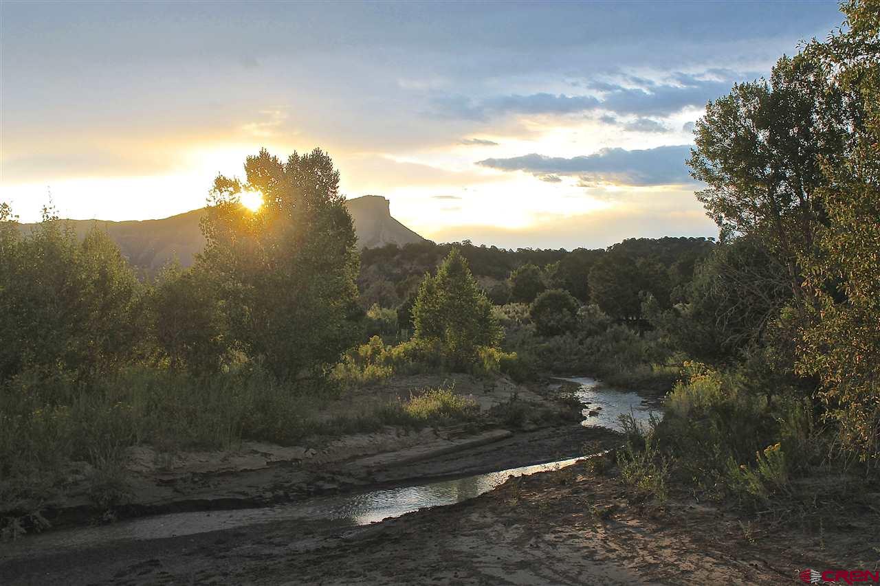 Durango Real Estate at The Wells Group of Durango