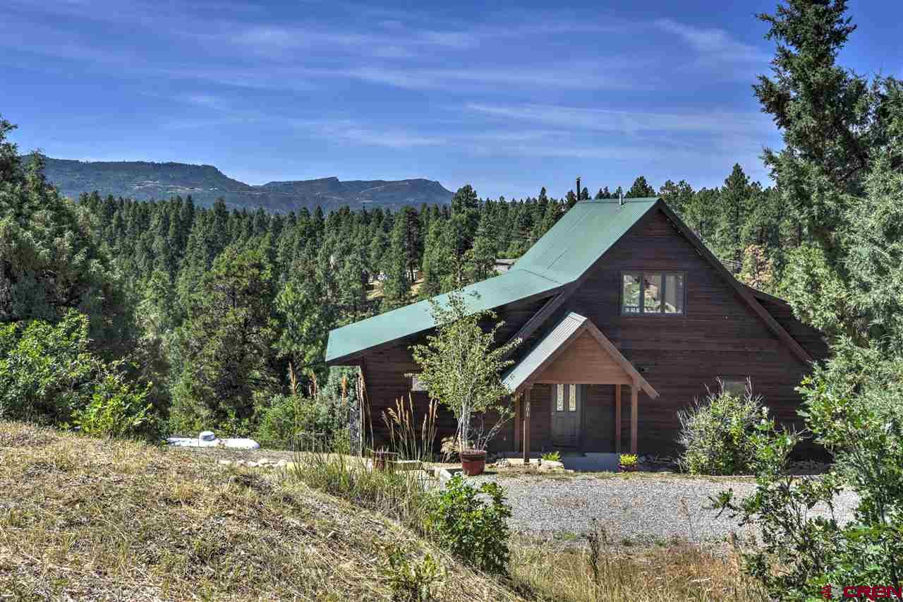 301 Gulch Road Durango CO Real Estate