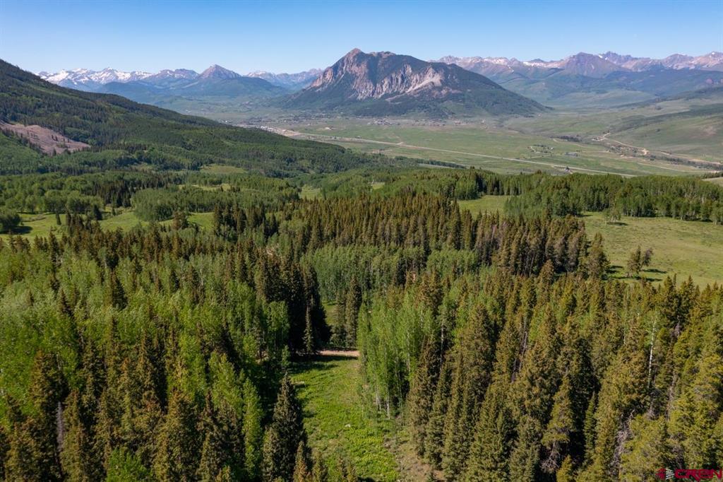 1251 Red Mountain Ranch Lower Loop Crested Butte CO Real Estate