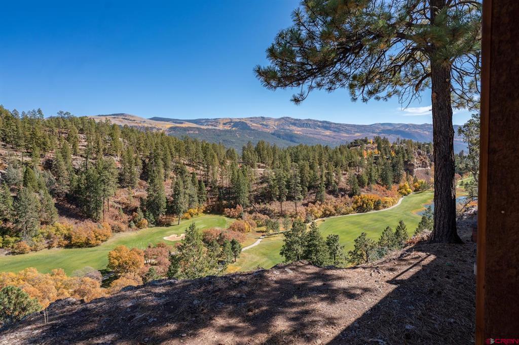 961 N Tamarron Dr Durango CO Real Estate