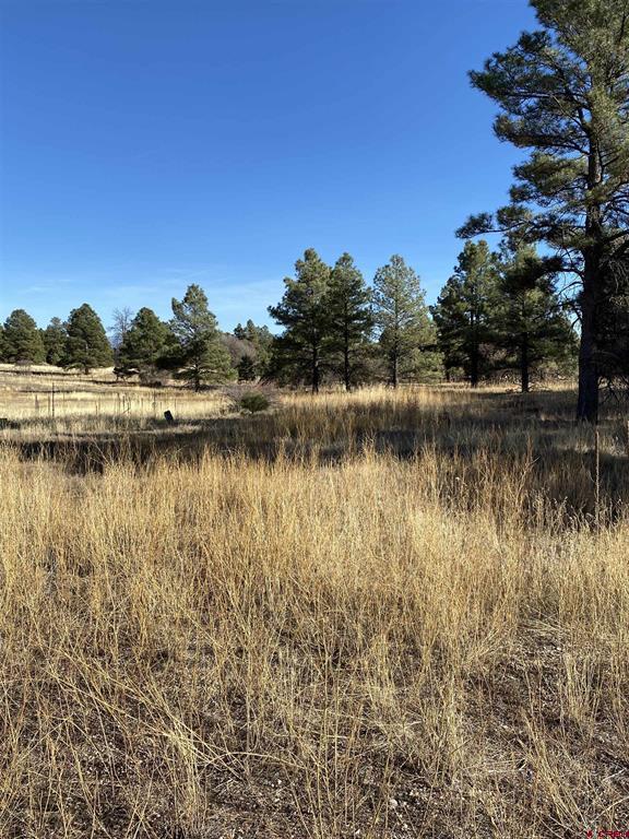 151 Mohawk Court Pagosa Springs CO Real Estate
