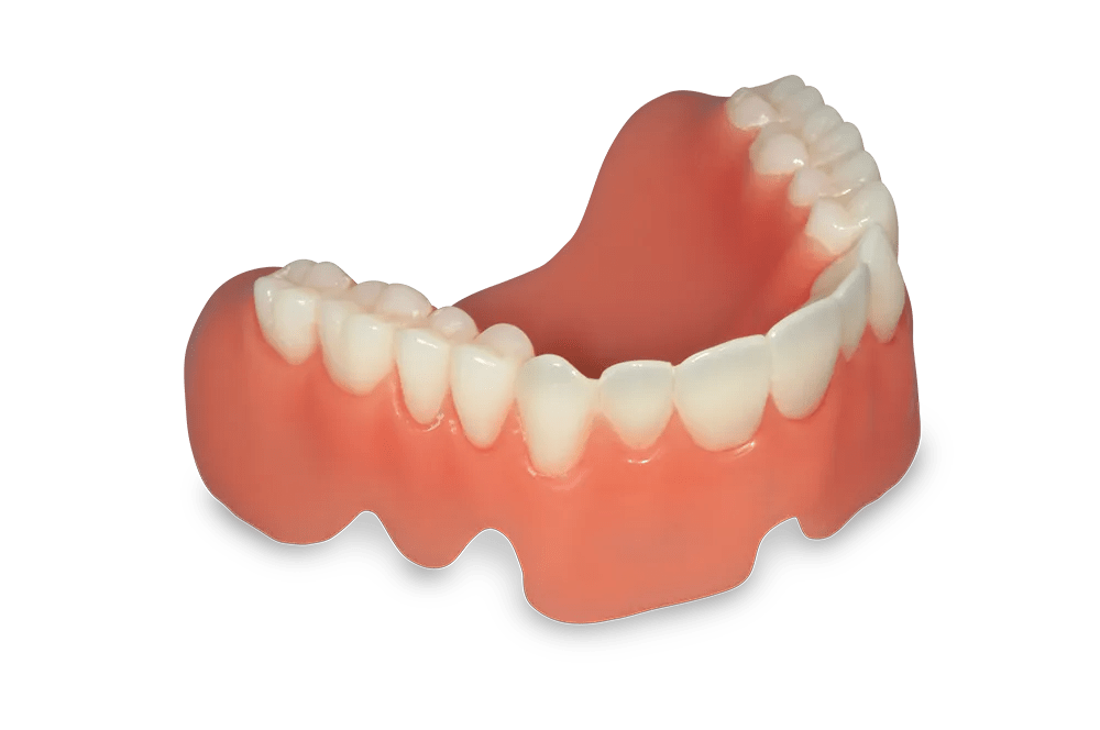 Complete Denture Creodent