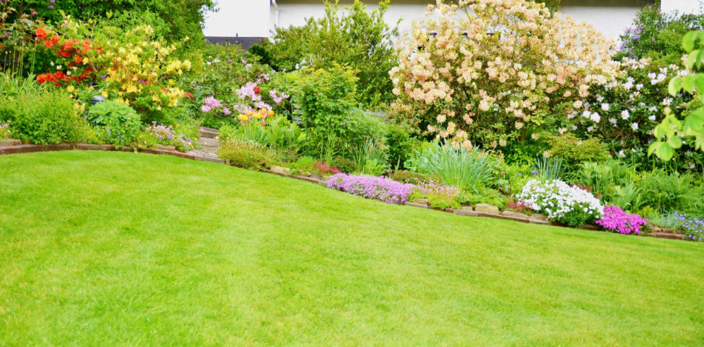 5 Essential Spring Lawn Care Tips