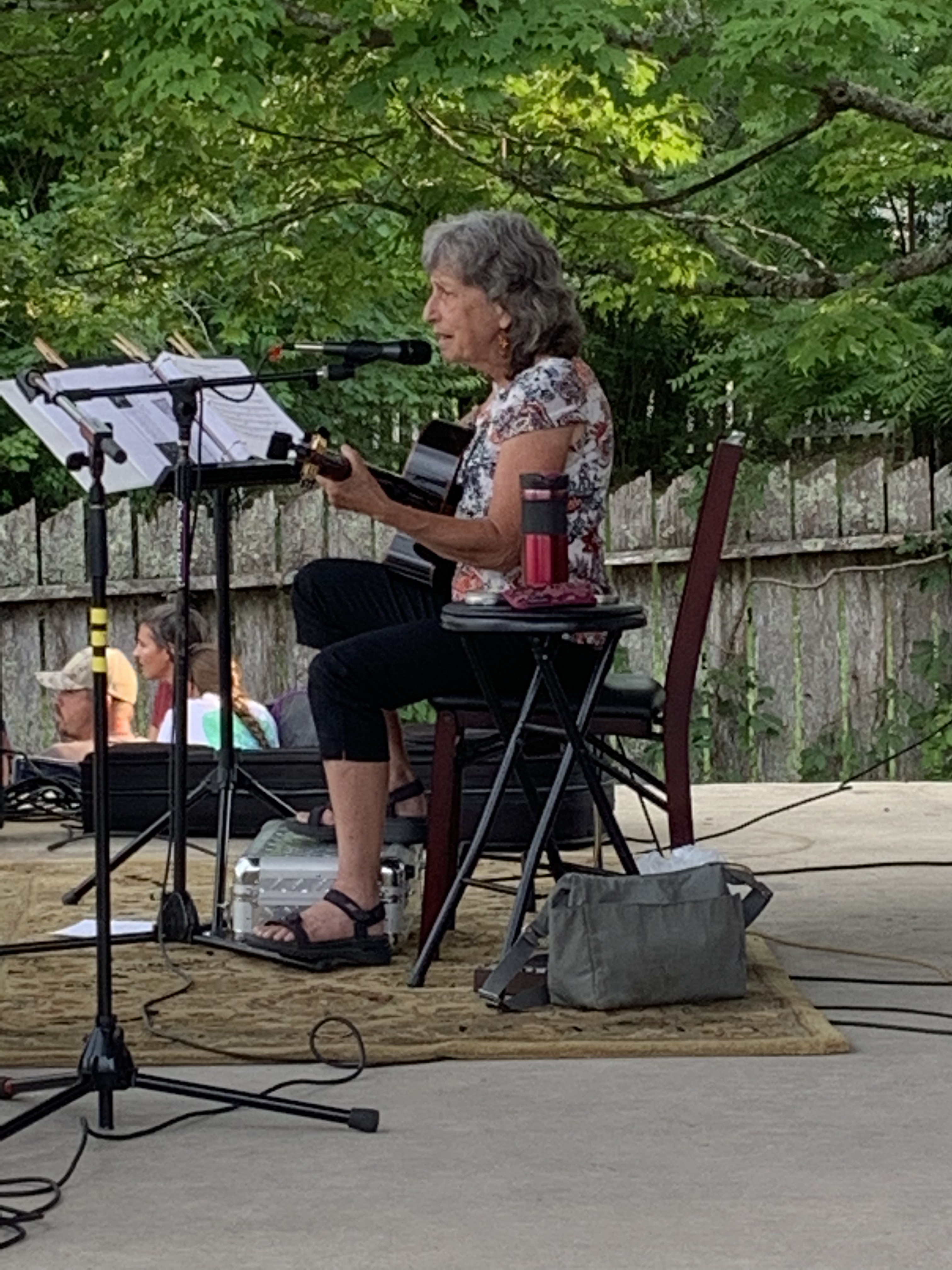 Christmas In Charlottesville Va 2023 Guitar Hire Barbara Martin Singing Guitarist in Charlottesville, Virginia