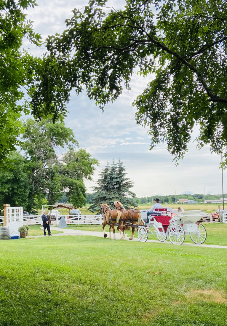 Hire Smith Carriage Co. Horse Drawn Carriage in Isanti, Minnesota