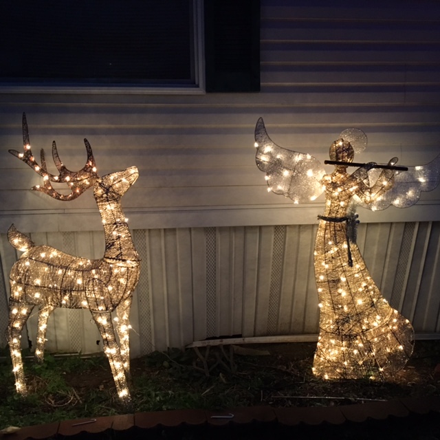 Crestview Moblie Home Park Wheelersburg, Ohio