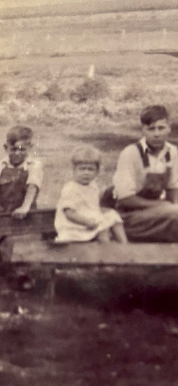 Tomter, Reynolds CRESTWOOD