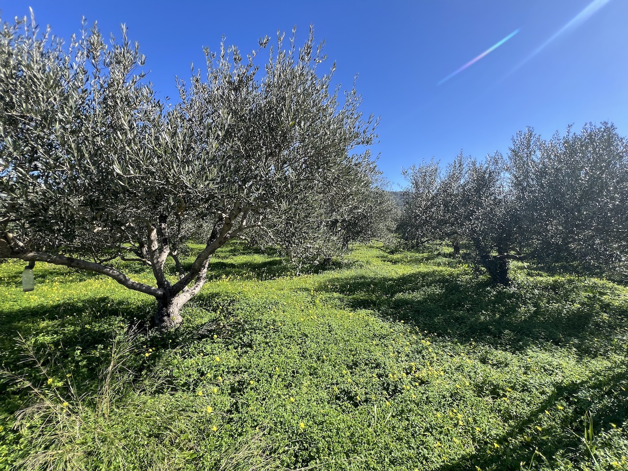 PLOT INSIDE ASPRO VILLAGE Crete Expert