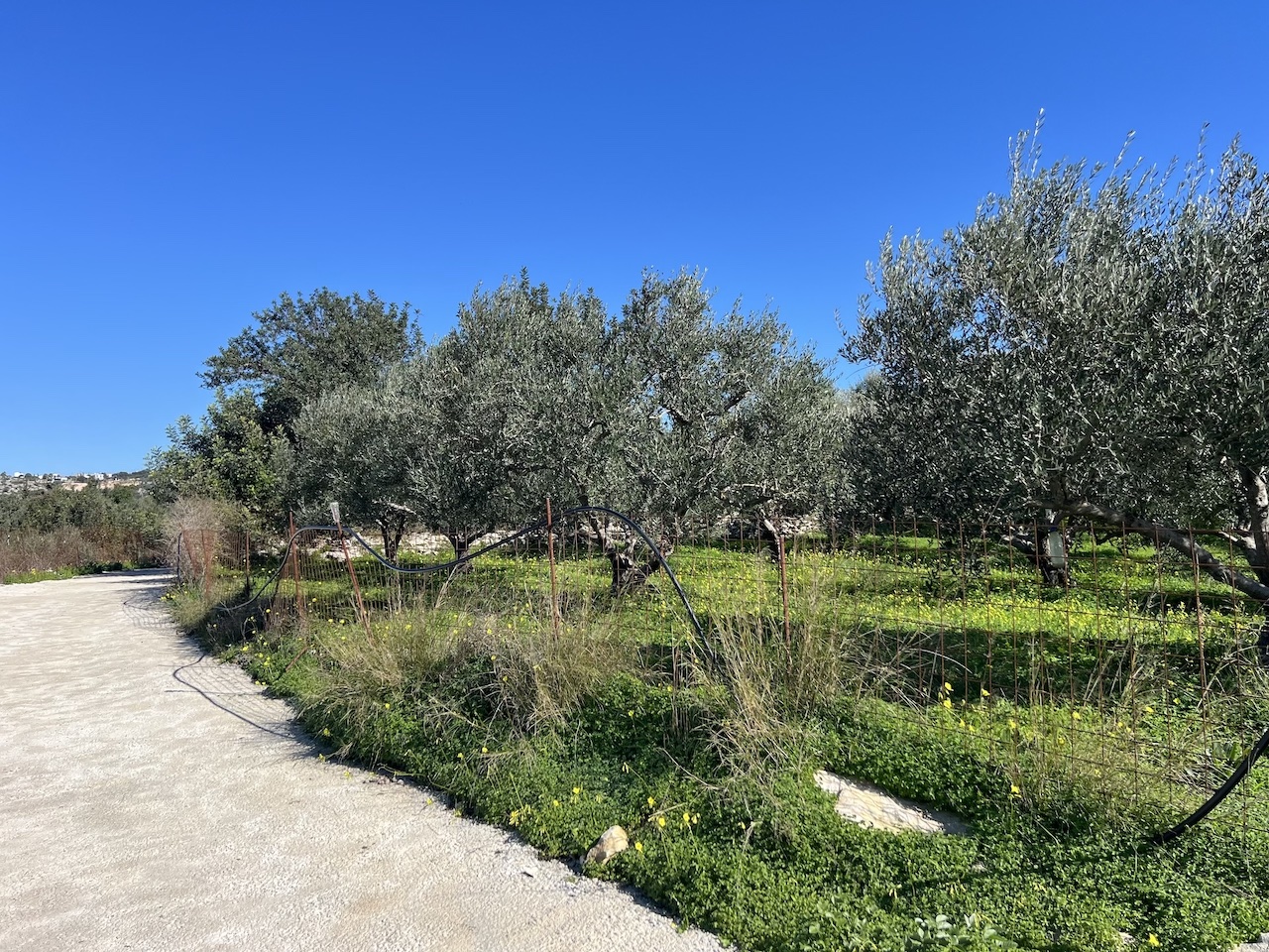 PLOT INSIDE ASPRO VILLAGE Crete Expert