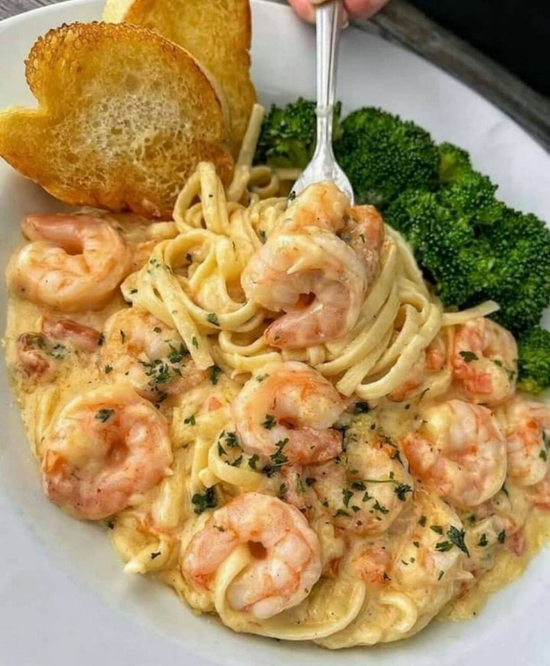 Shrimp Alfredo Pasta Cribic Recipe