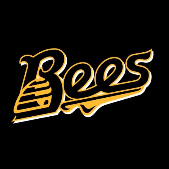 League Killer Bees CC vs Invictus CC Cricketing Richmond
