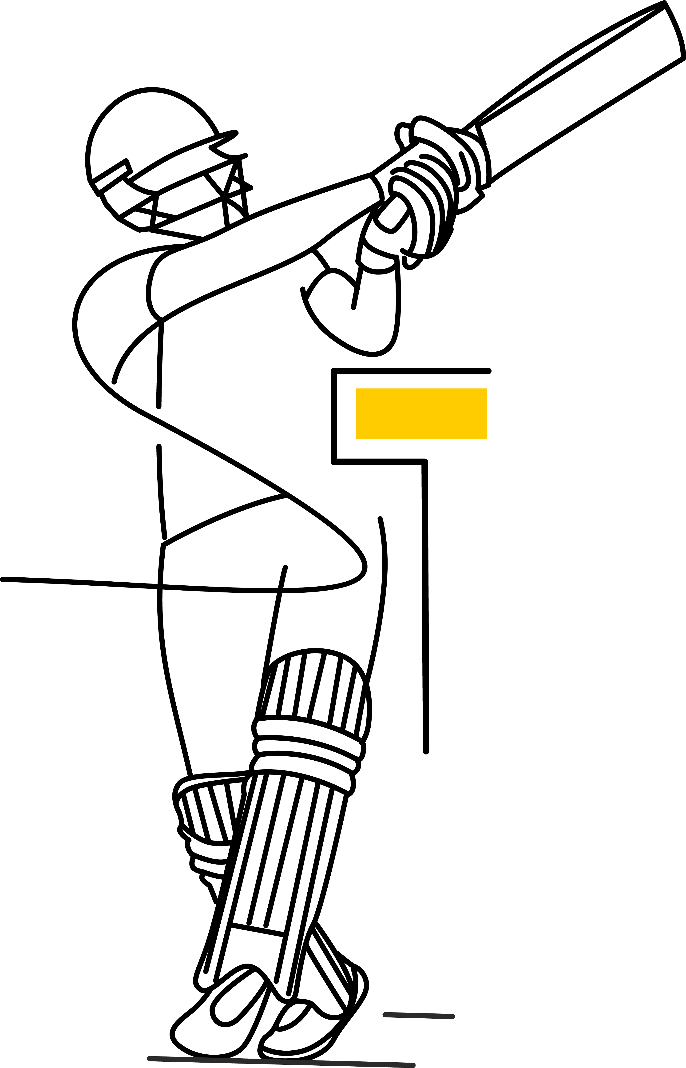 Bat Maintenance » Cricket Bats