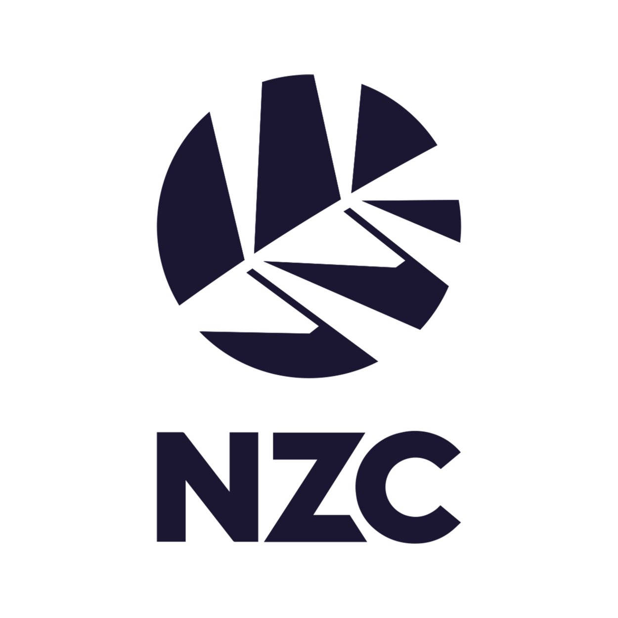 Cricket Jobs New Zealand Cricket Jobs