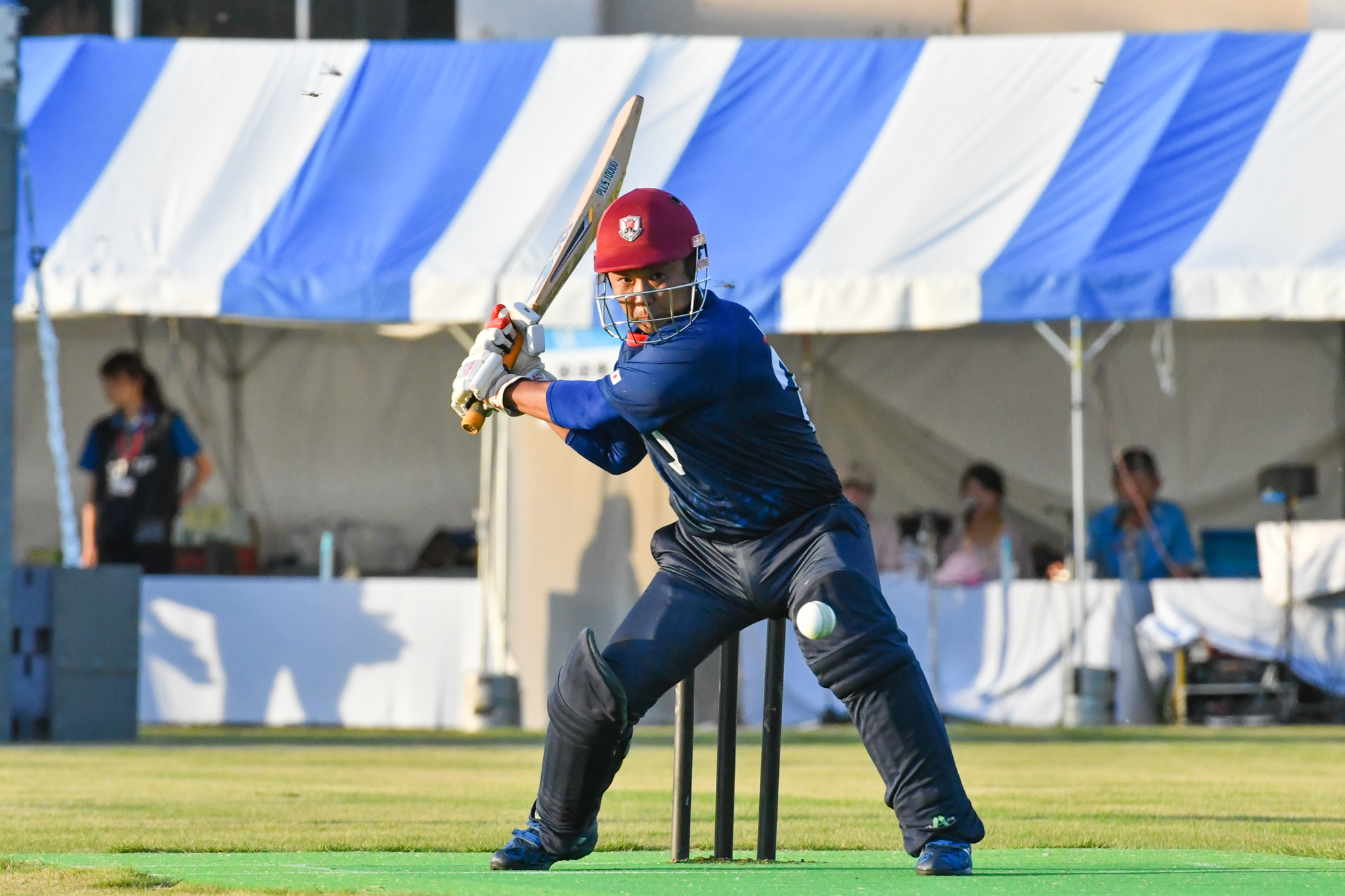 Japan Cricket Association International Retirements Confirmed by