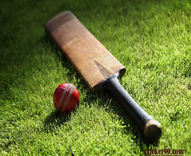 New at Cricket? Know All Cricket Terminologies with Examples