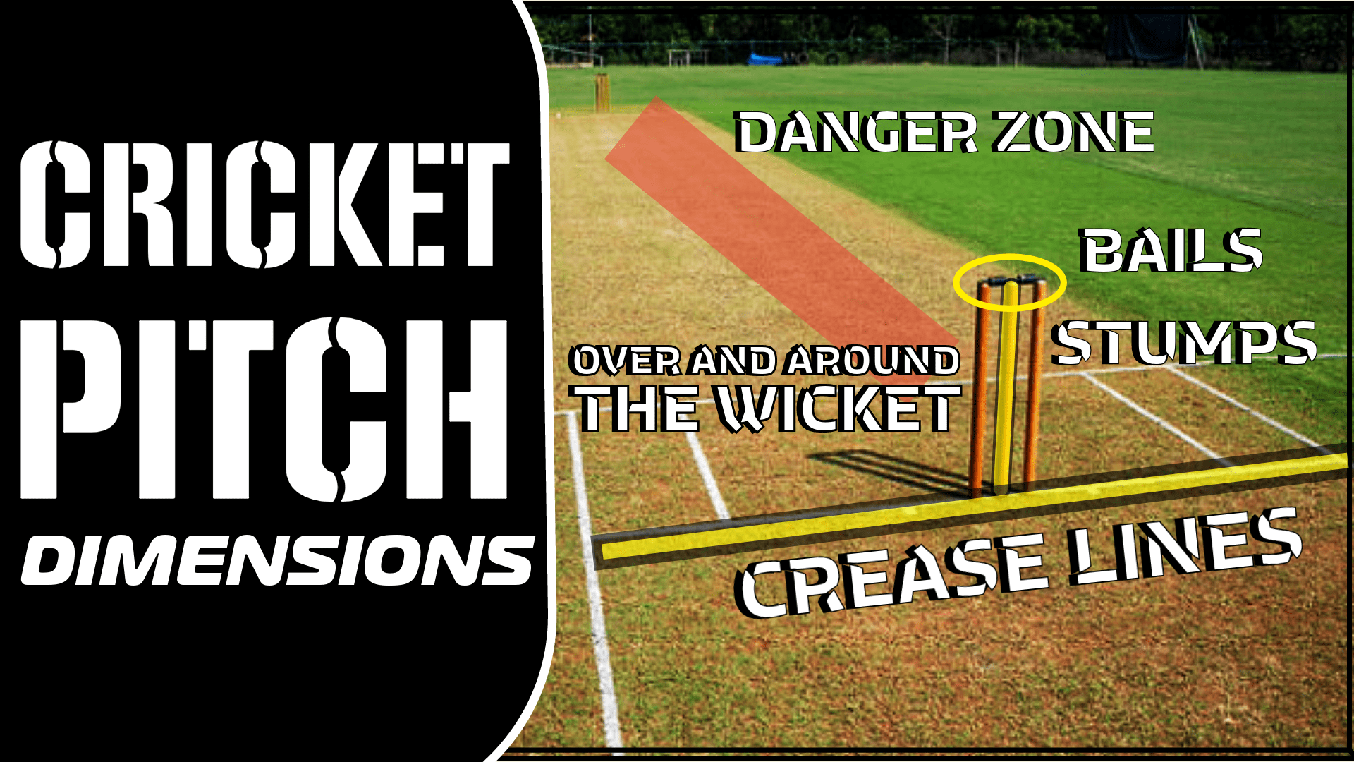 Cricket pitch measurements Crease Lines & other pitch basics