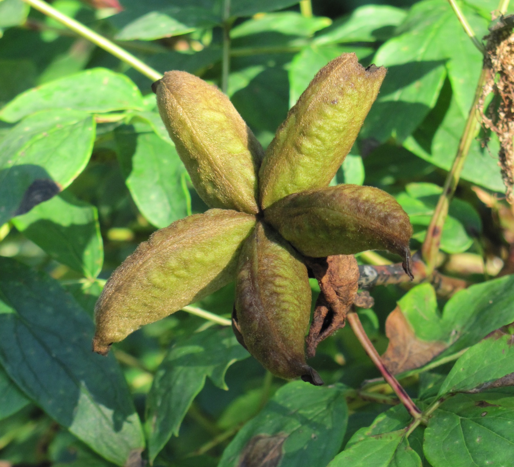 301 Moved Permanently