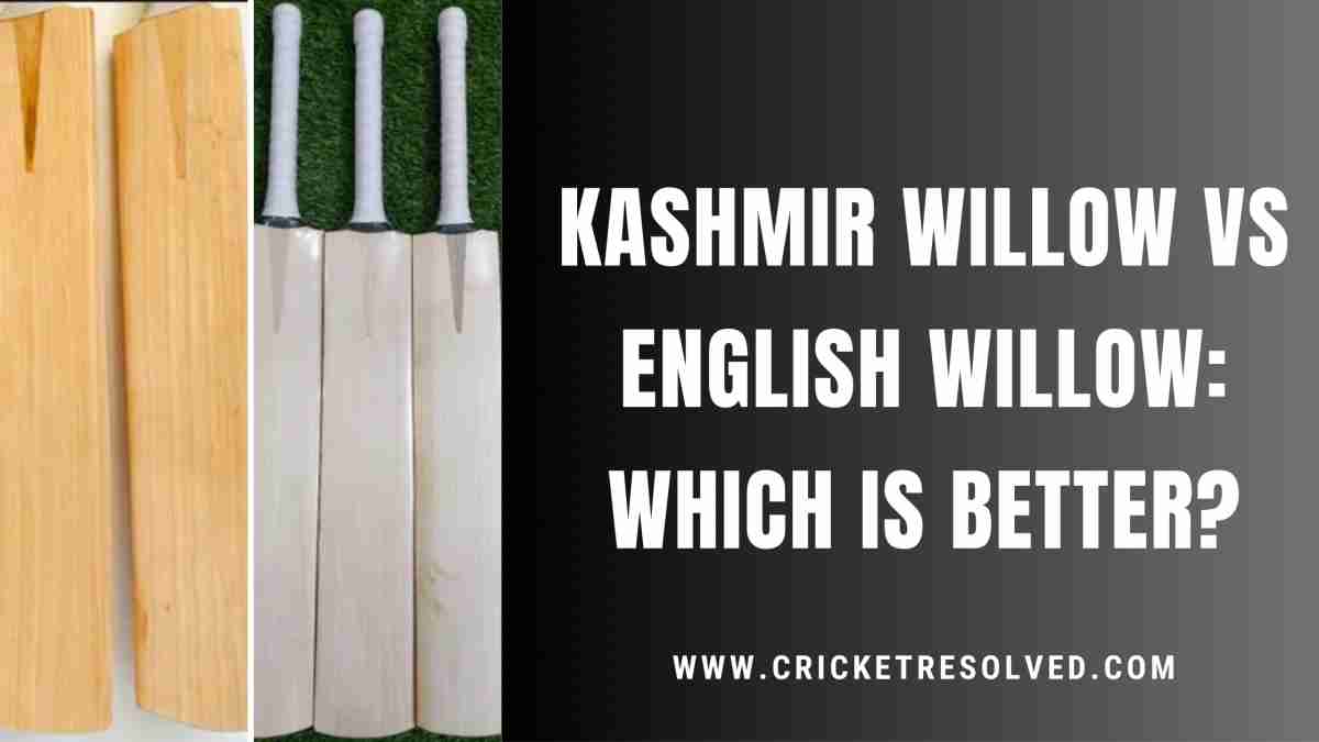 Kashmir Willow vs English Willow Which is Better? Cricket Resolved