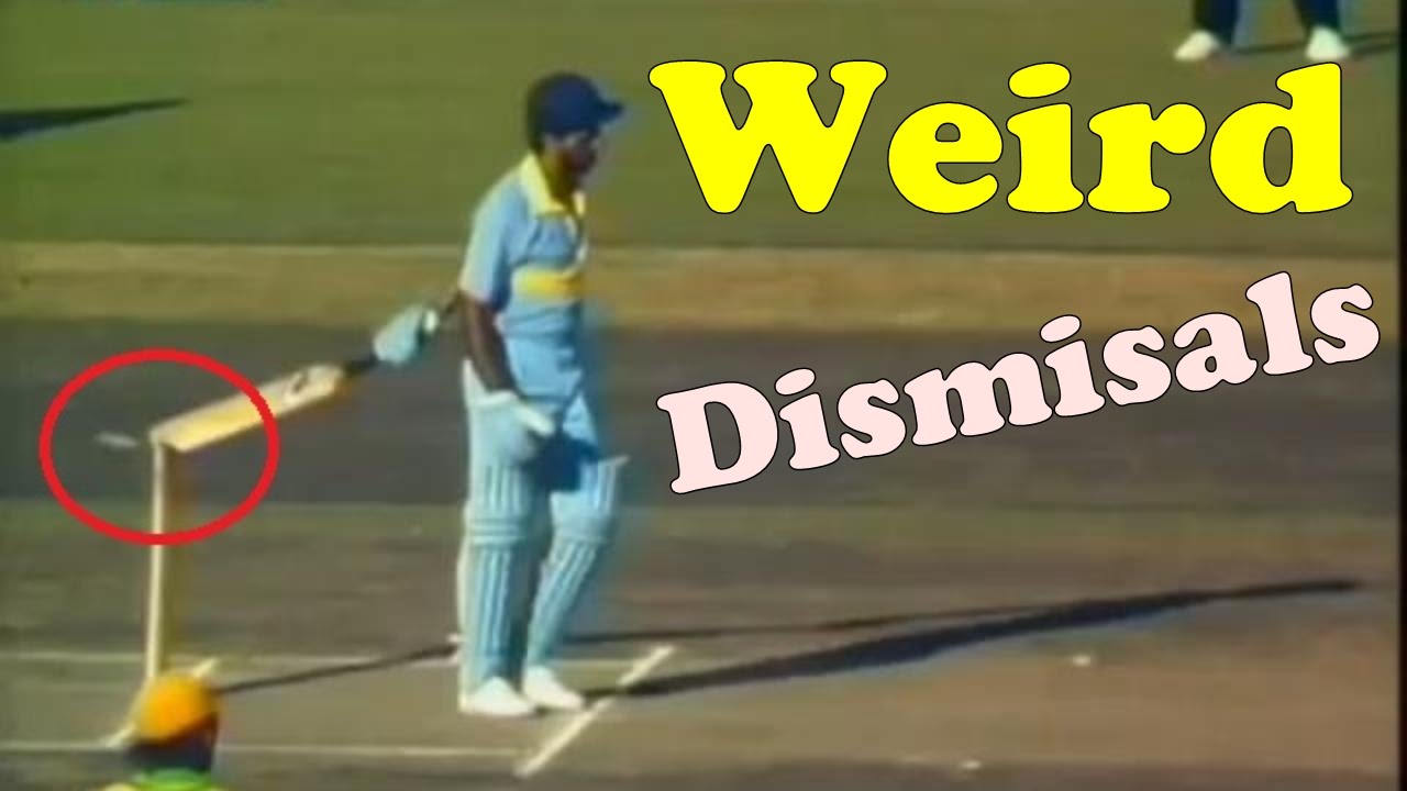 Weird Dismissals in Cricket History crickhub