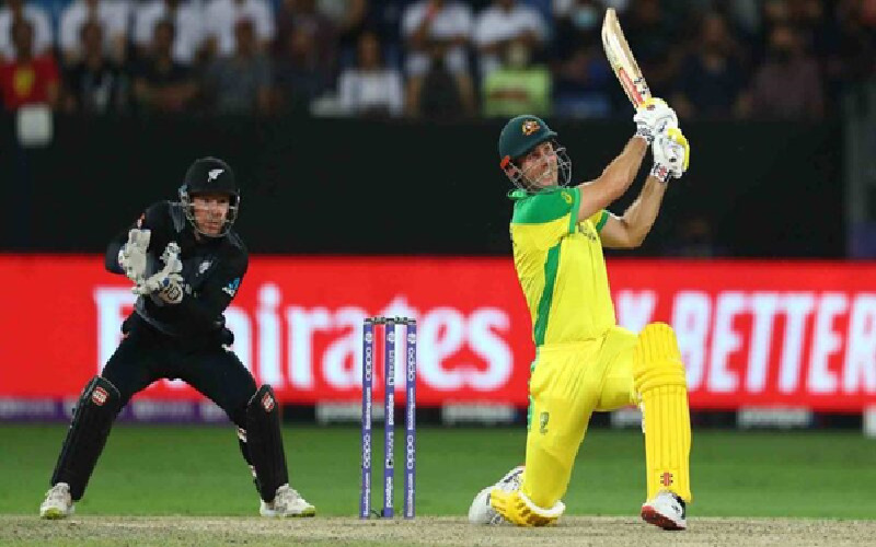Top 10 Australian Cricketers Who Used Gray Nicolls Bat Crictv4u