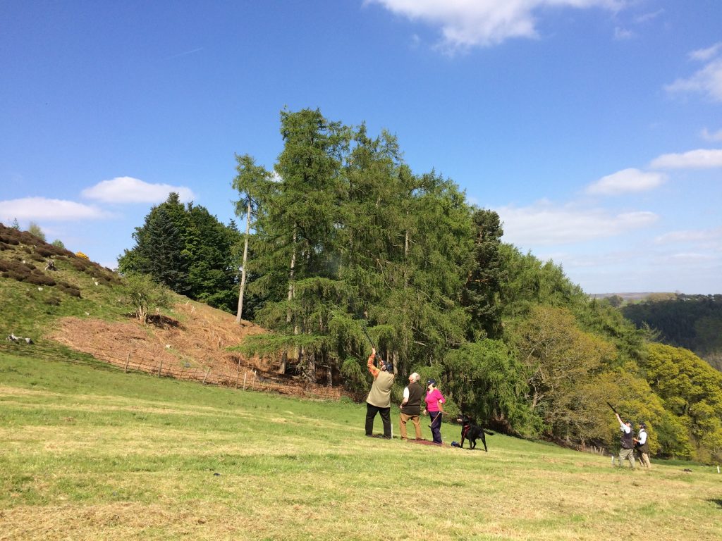 Simulated Game Criddle Field Sports