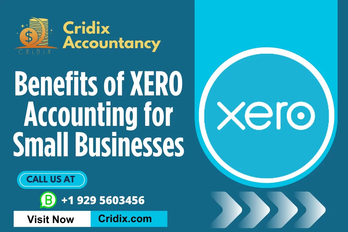8 Useful Benefits of Xero Accounting for Small Businesses Outsourced