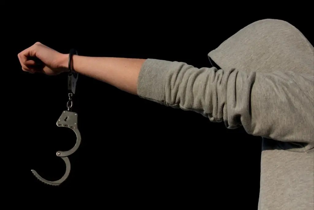 What is Criminology? Definition of the criminology field Criminology Web
