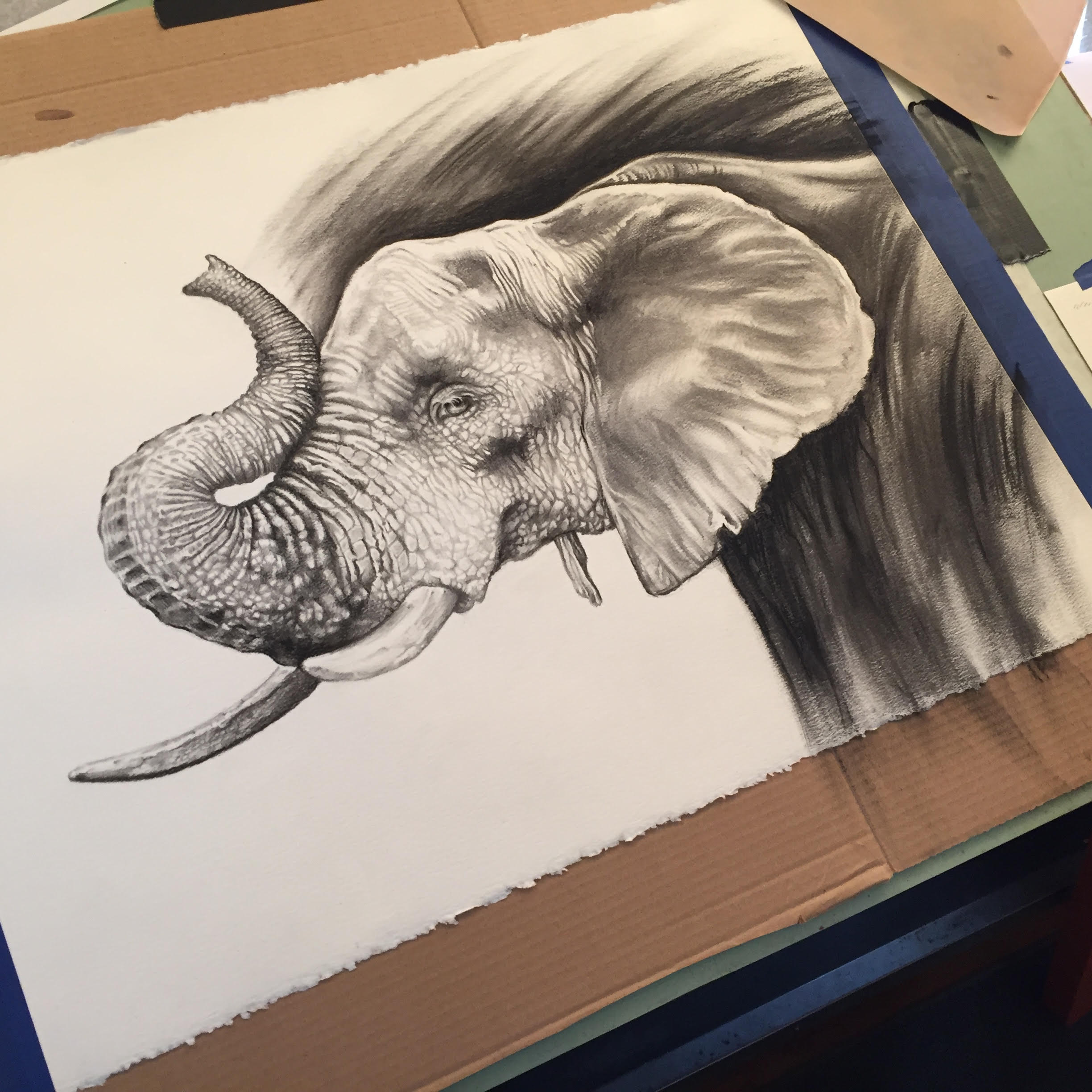 Elephant wrinkles, wrinkles, and more wrinkles… Crimson Canvas Art