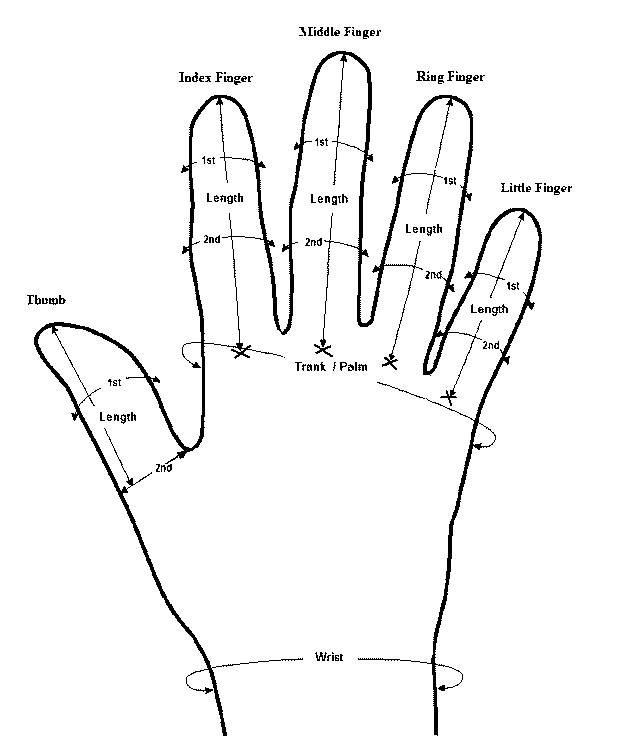 Wisby 1361 3 Order Form