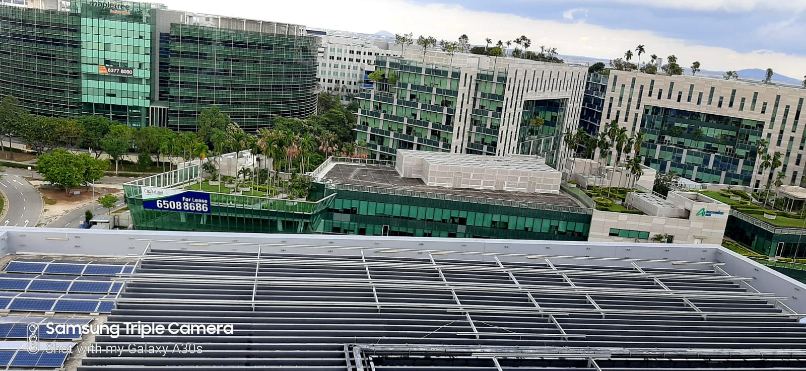 DBS Asia Hub Cripton