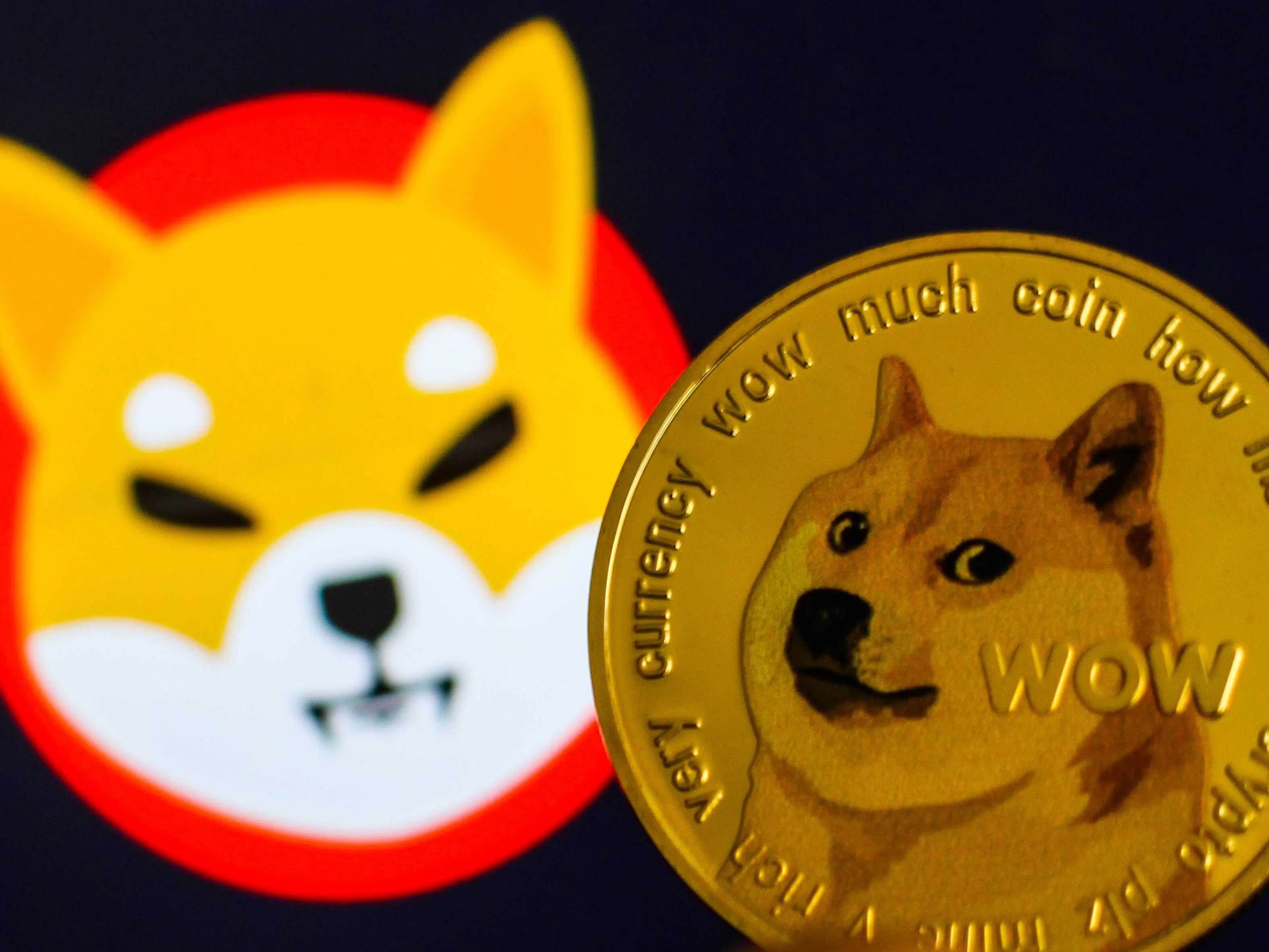 Ganhe dinheiro com Criptomoedas O boom de Shiba Inu, Dogecoin e Floki
