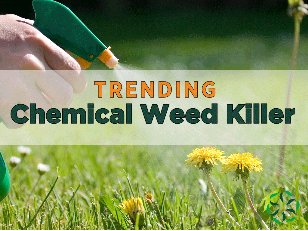 Trending Chemical Weed Killer Center for Research on Ingredient Safety