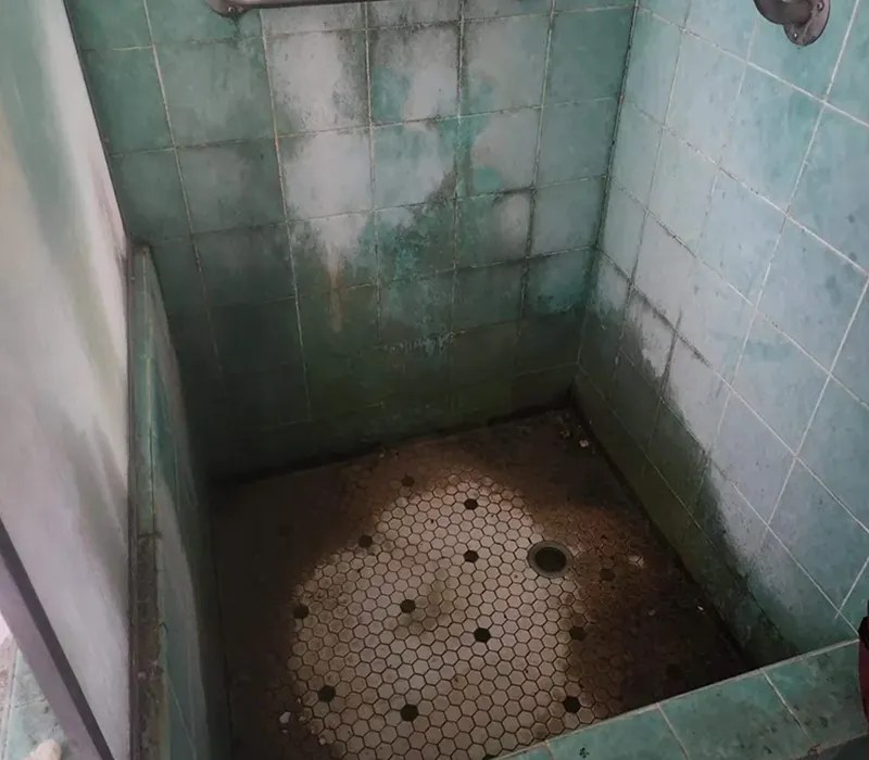 Sewage & Contamination Clean Crisis Cleans