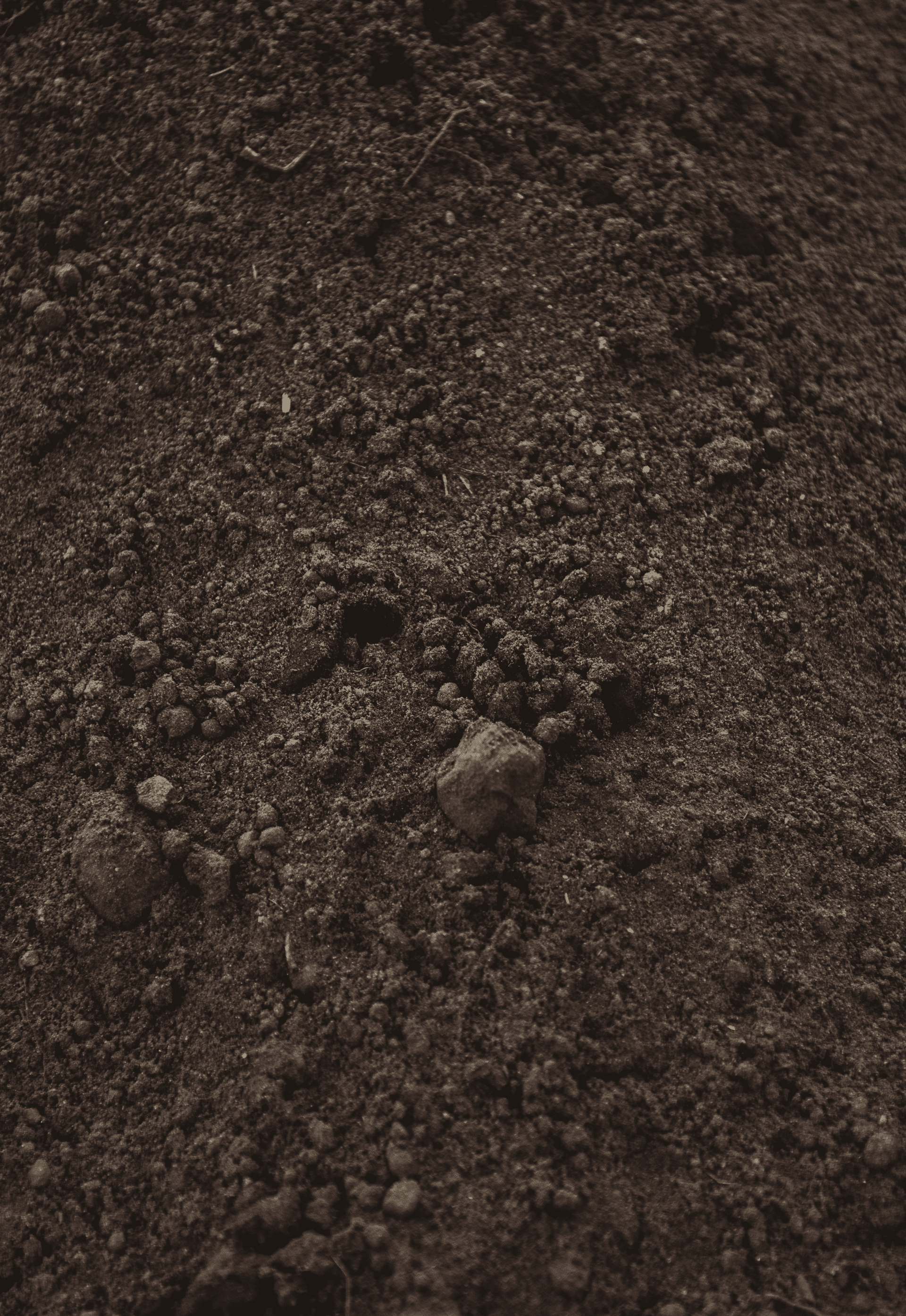 Pulverized Black Dirt Crisman Sand Co.