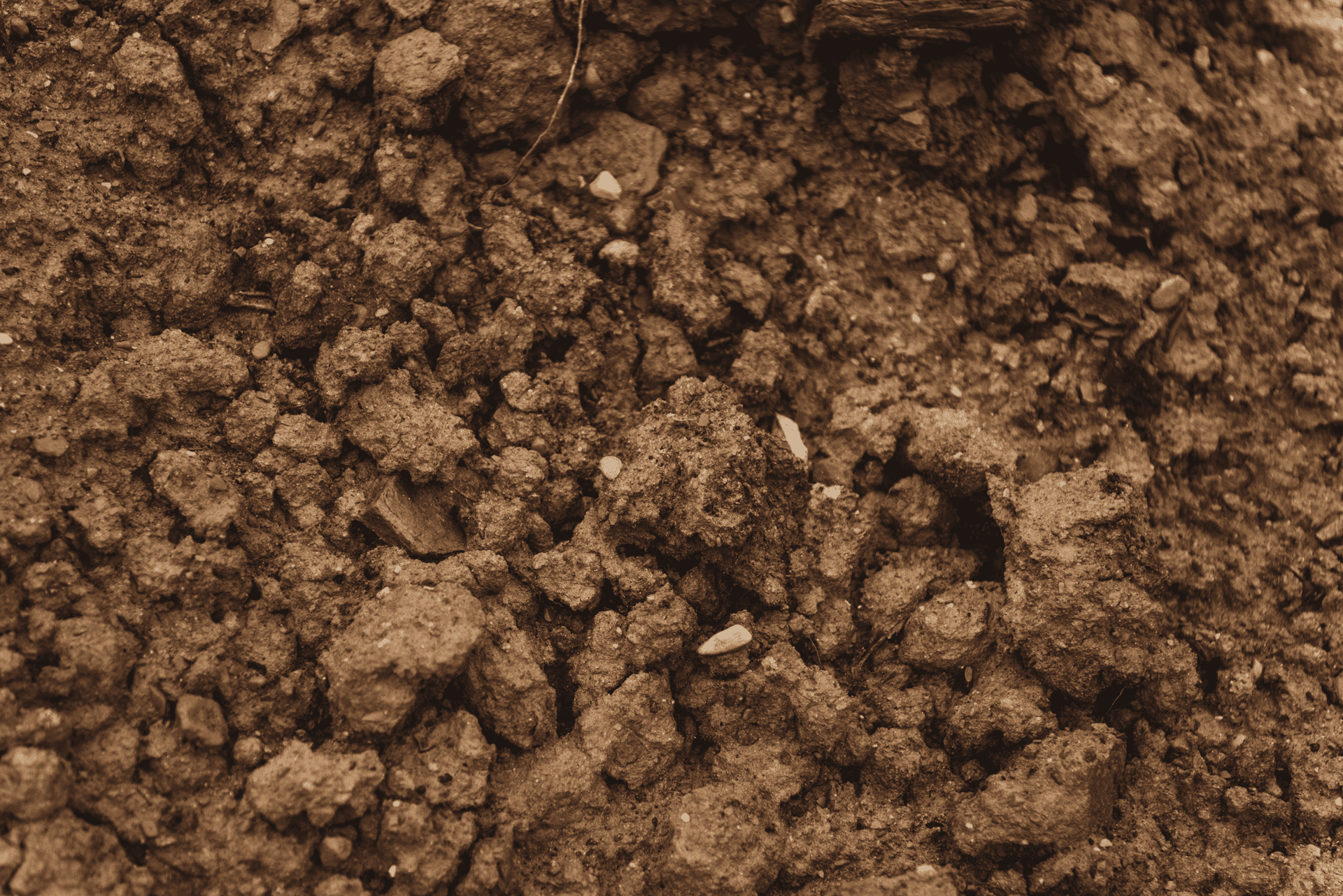 Clay Crisman Sand Co.