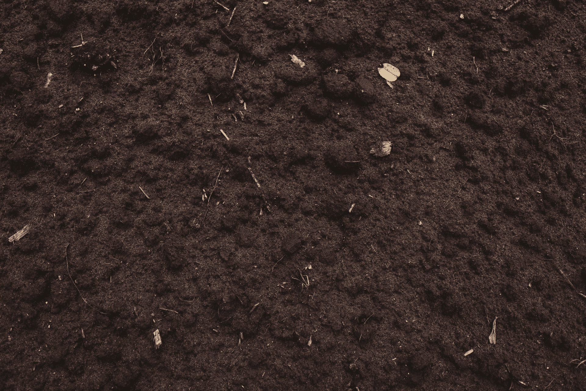 Top Soil Crisman Sand Co.