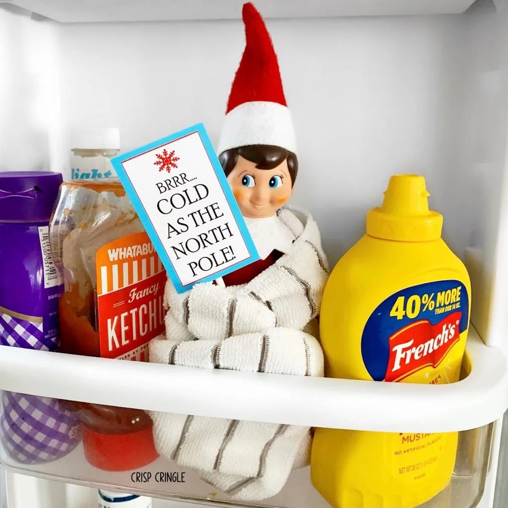 12 Day Elf Kit Crisp Collective