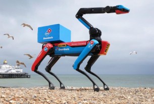 Робопес , пицца, Domino's
