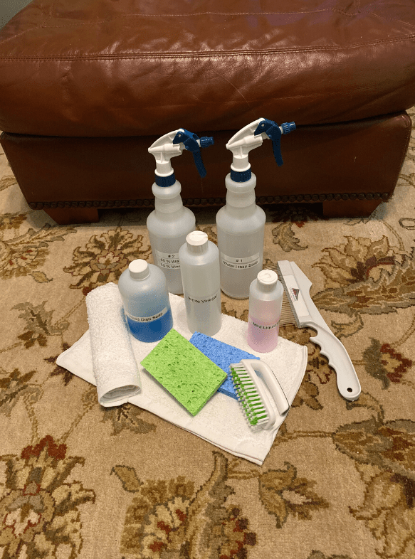 Spot Cleaning Toolkit for Area Rugs Cristomar