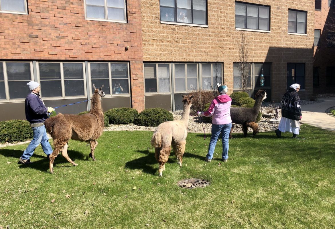 Ranch Animals Visit Care Facilities Cristo Rey Ranch