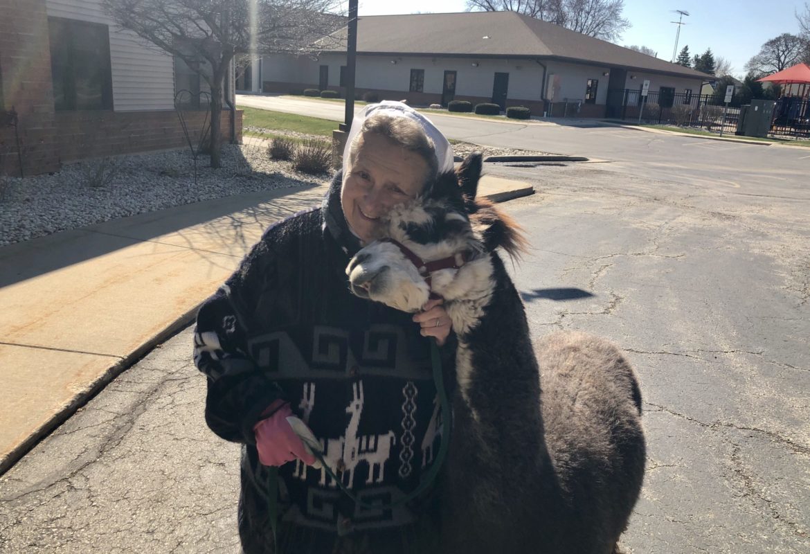Ranch Animals Visit Care Facilities Cristo Rey Ranch
