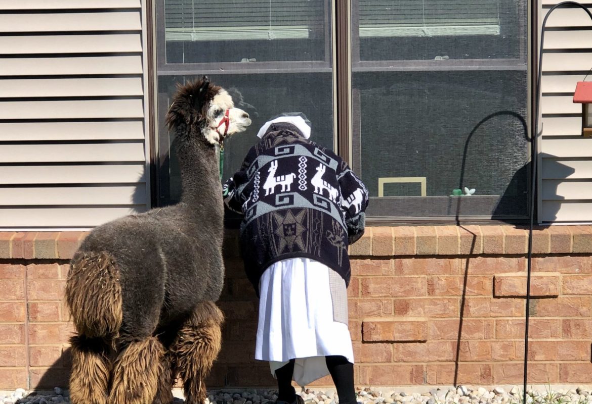 Ranch Animals Visit Care Facilities Cristo Rey Ranch