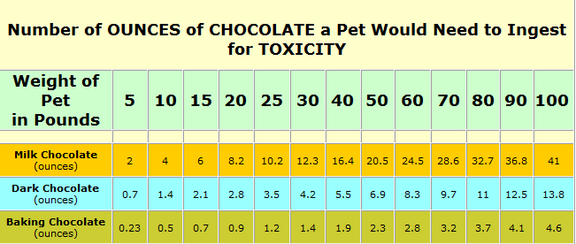 Chocolate Intoxication in Pets Not So Sweet!