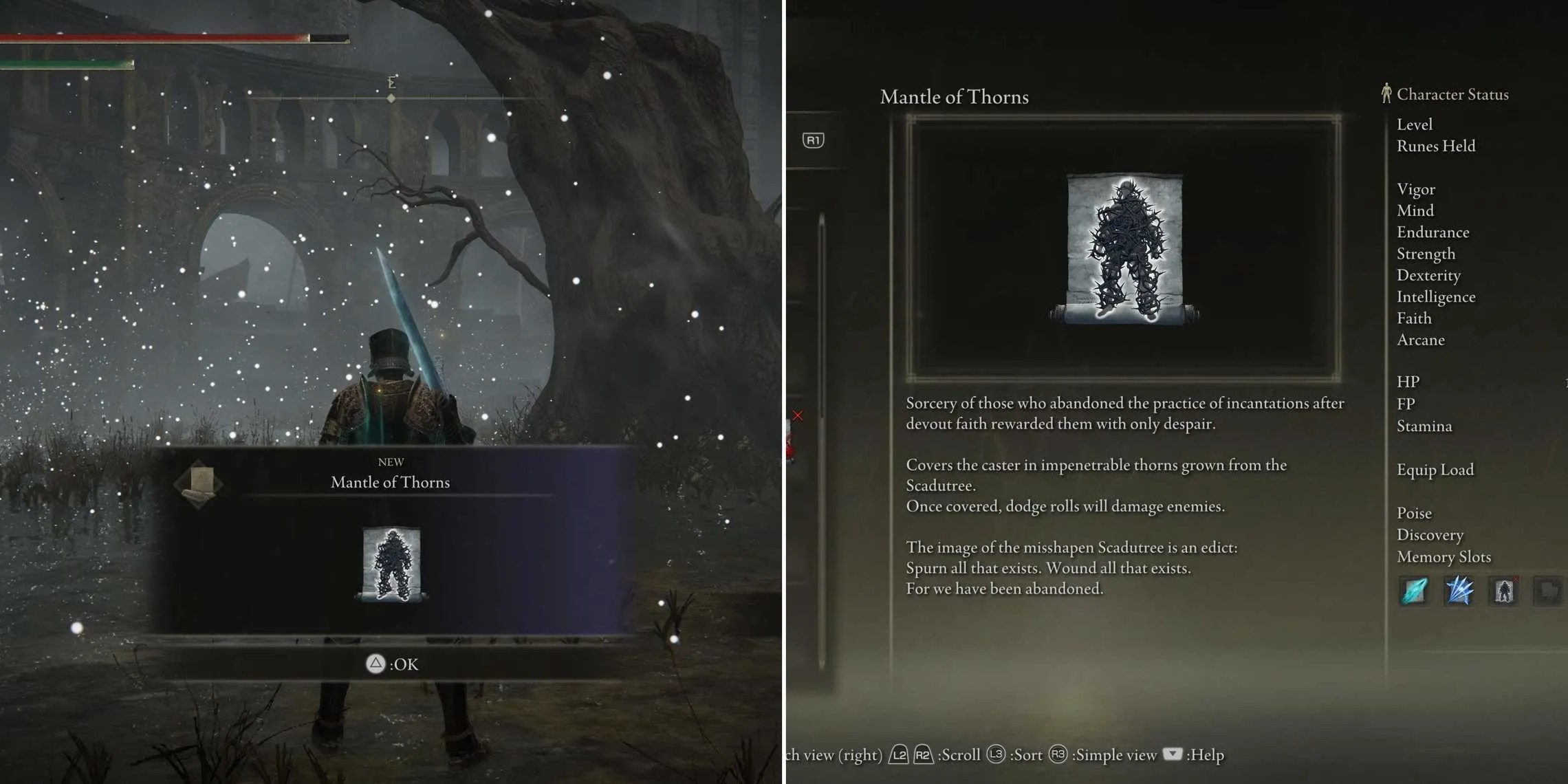 Onde conseguir o manto de espinhos em Elden Ring Shadow Of The Erdtree
