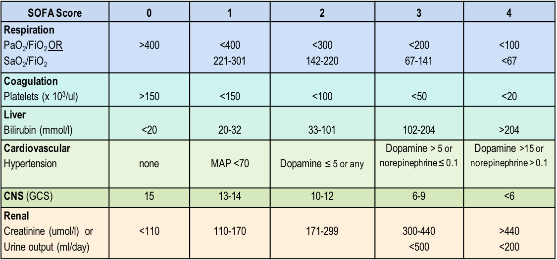 NUTRIC scoring made easy Critical Care Nutrition Cape Town South Africa