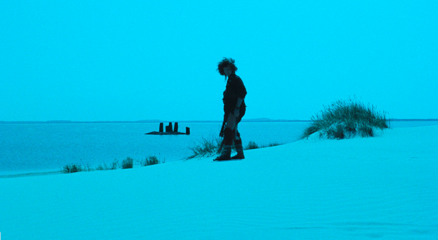 Andrzej Żuławski Three Films (The Third Part Of The Night, The Devil