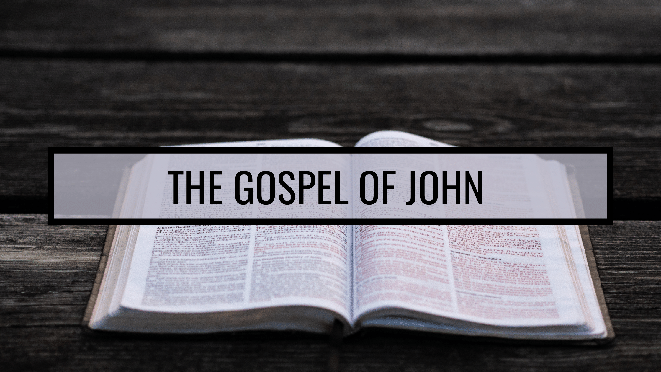 John's Gospel Series Critical Thinking Aloud