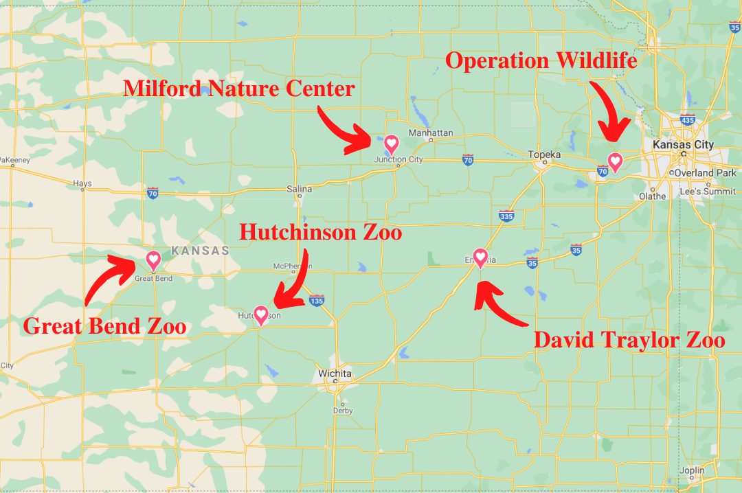 Top 5 Best Wildlife Rescue Rehabilitation Centers in Kansas