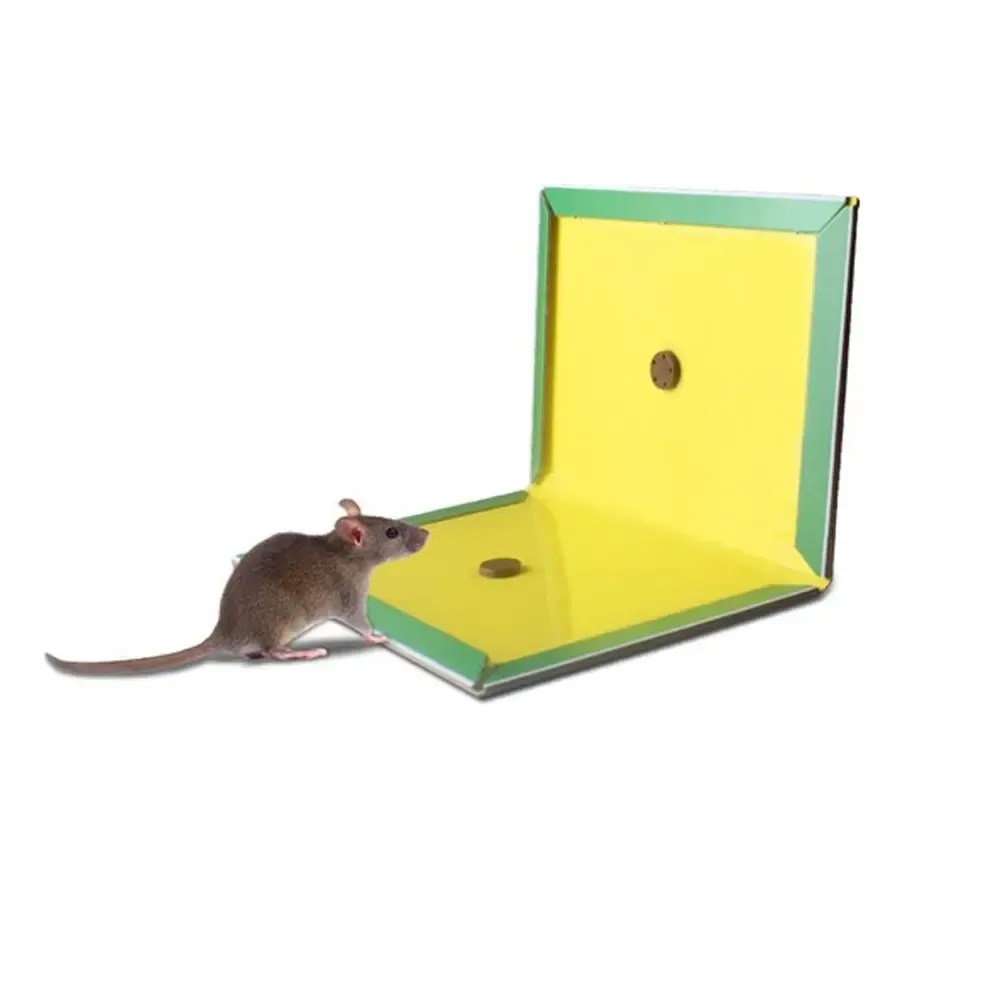 Rat Glue Traps Critter Stop