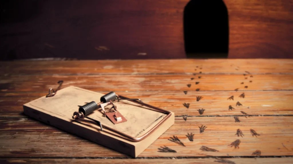 When are Mice Most Active? A Guide to Understanding Their Behavior